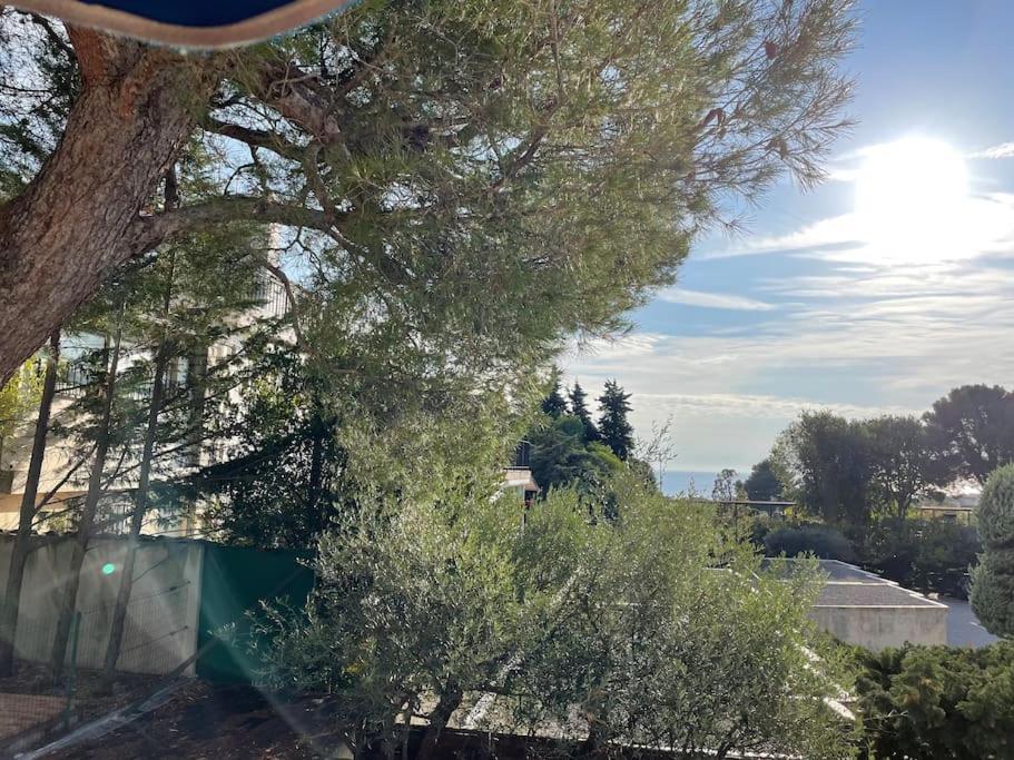 Cassis, Superbe Appartement Avec Terrasse エクステリア 写真