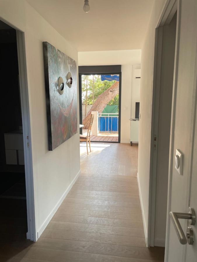 Cassis, Superbe Appartement Avec Terrasse エクステリア 写真